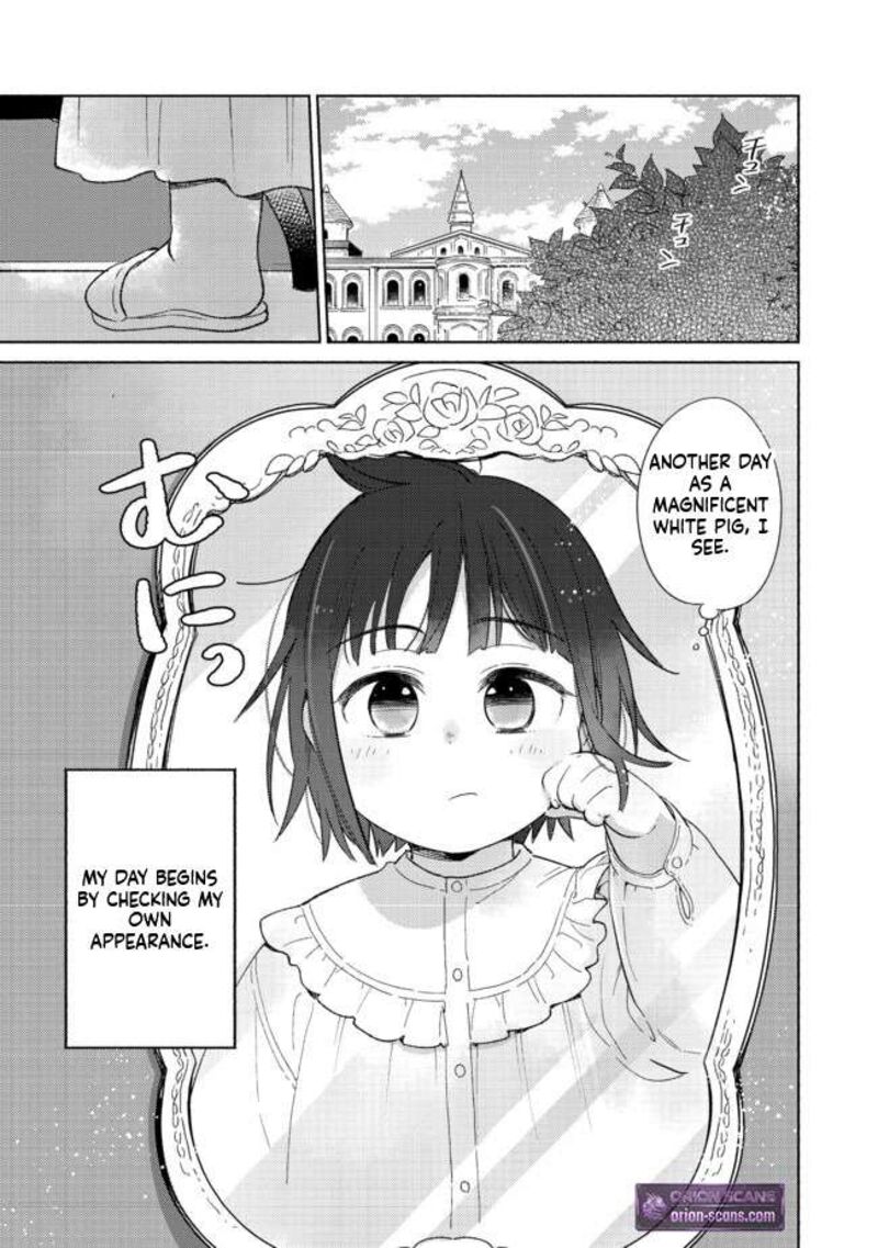 Shiroi Buta Kizoku Desu Ga Zense No Kioku Ga Haeta No De Hiyoko Na Otouto Sodatemasu 1 5
