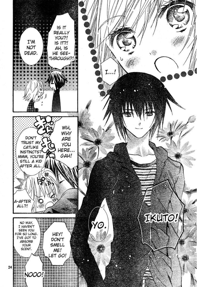 Shugo Chara 52 24