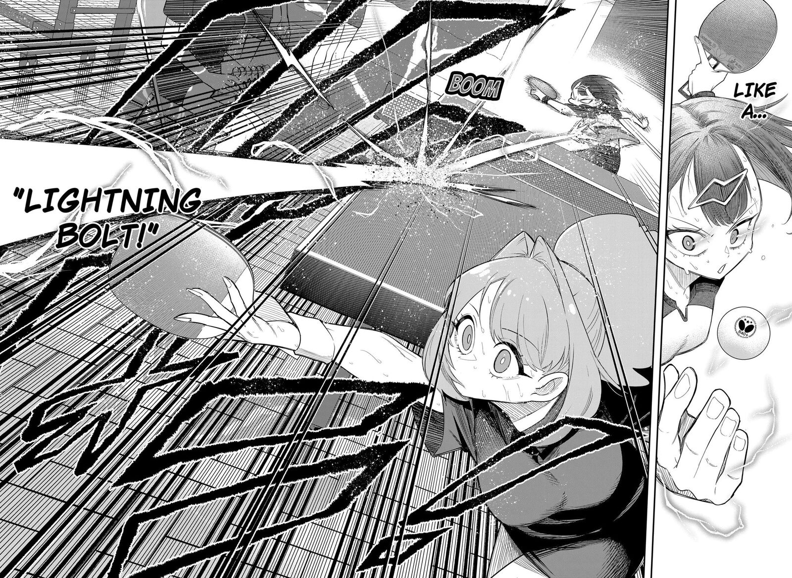 Shunrai Table Tennis 1 53