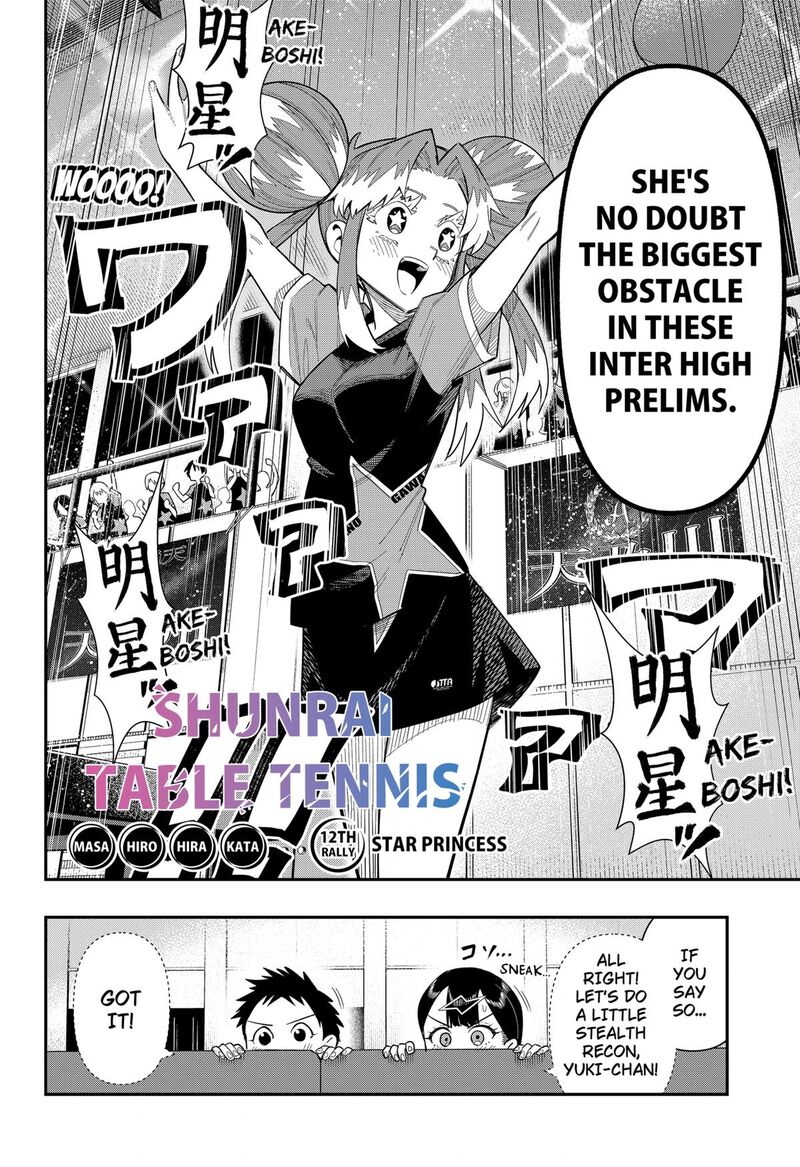 Shunrai Table Tennis 12 2