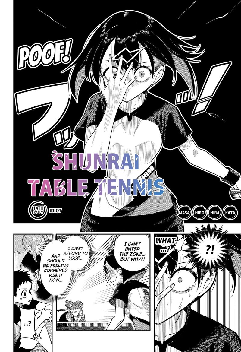 Shunrai Table Tennis 14 2