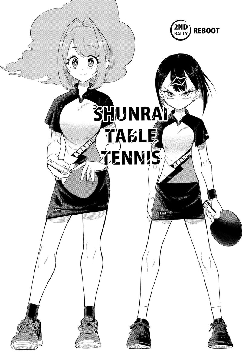 Shunrai Table Tennis 2 3