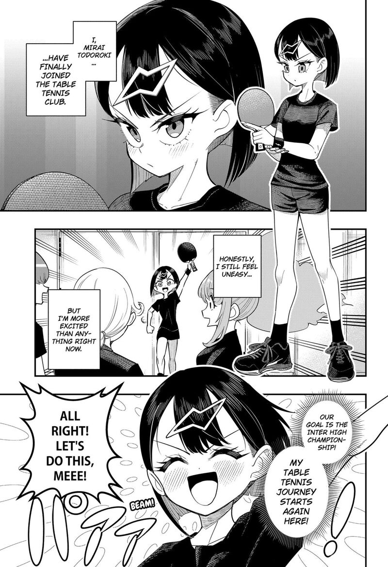 Shunrai Table Tennis 3 1