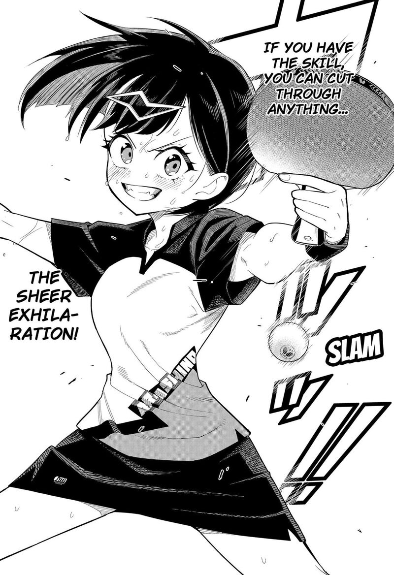 Shunrai Table Tennis 3 25