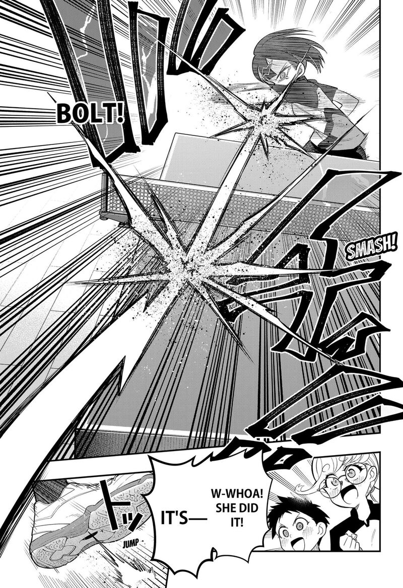 Shunrai Table Tennis 5 15
