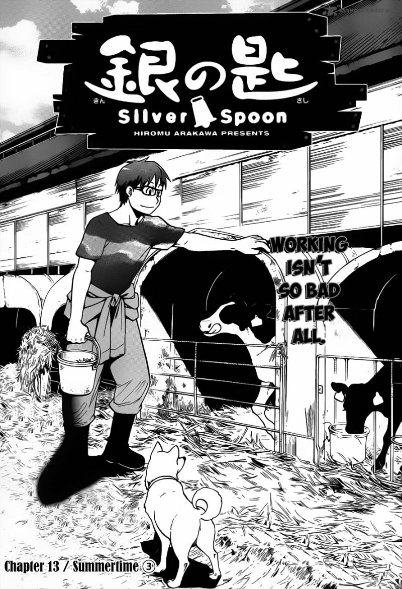 Silver Spoon 13 2