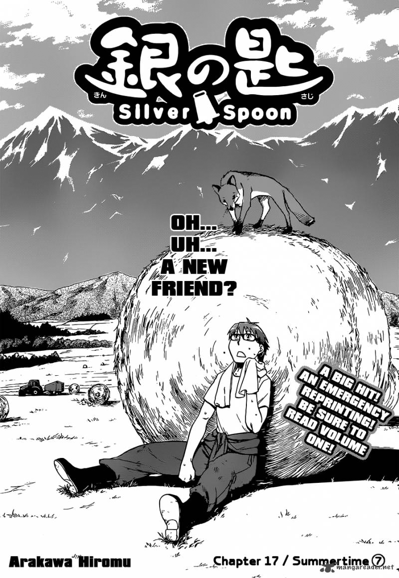 Silver Spoon 17 3