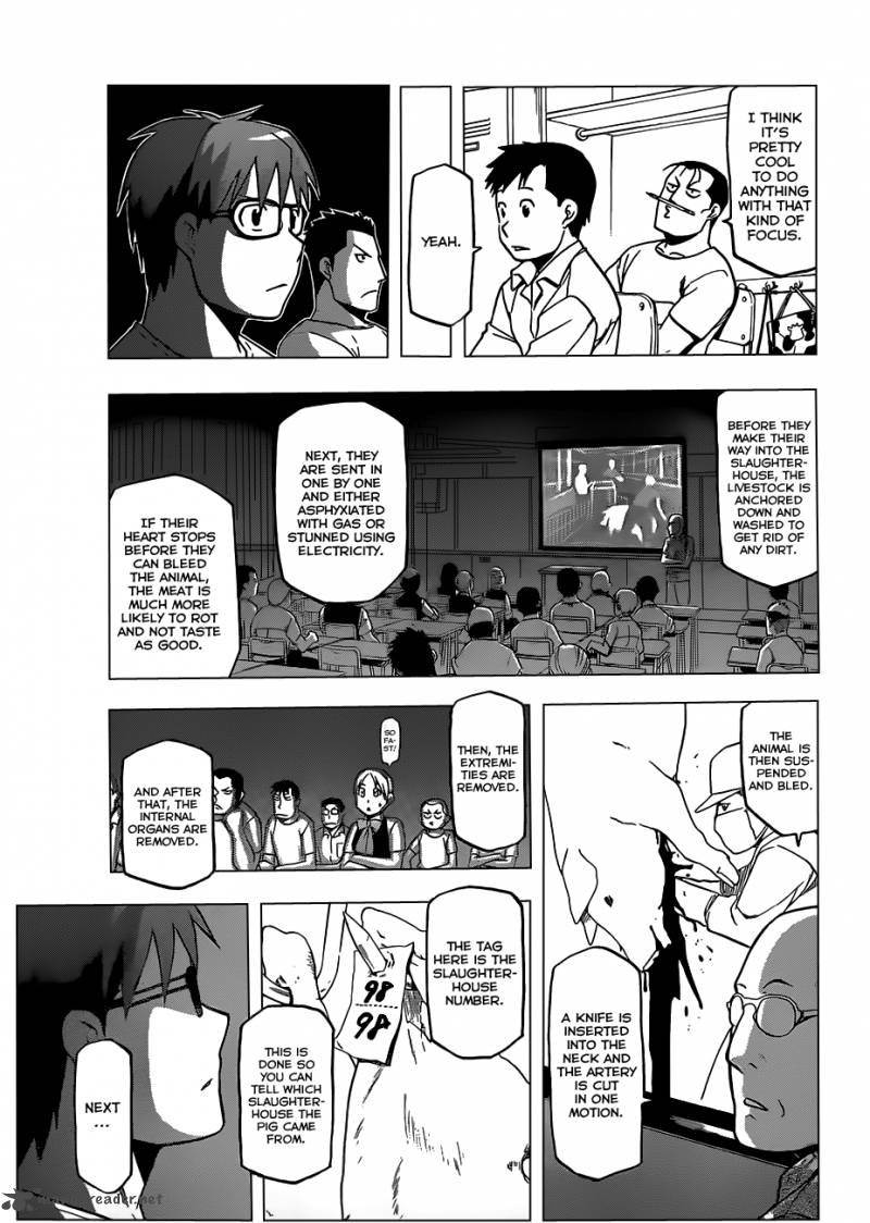 Silver Spoon 26 16