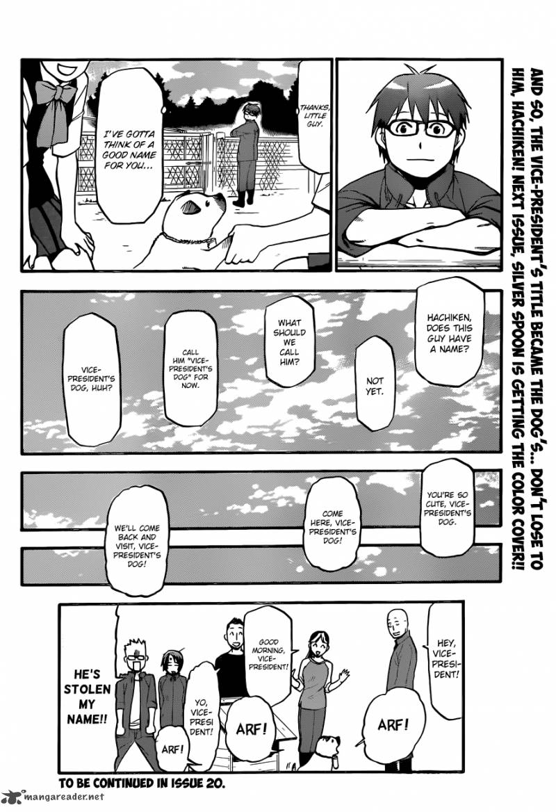 Silver Spoon 36 19