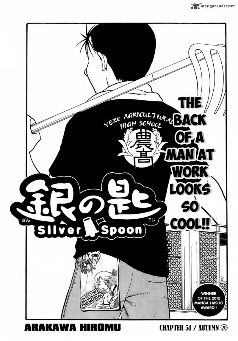 Silver Spoon 51 8