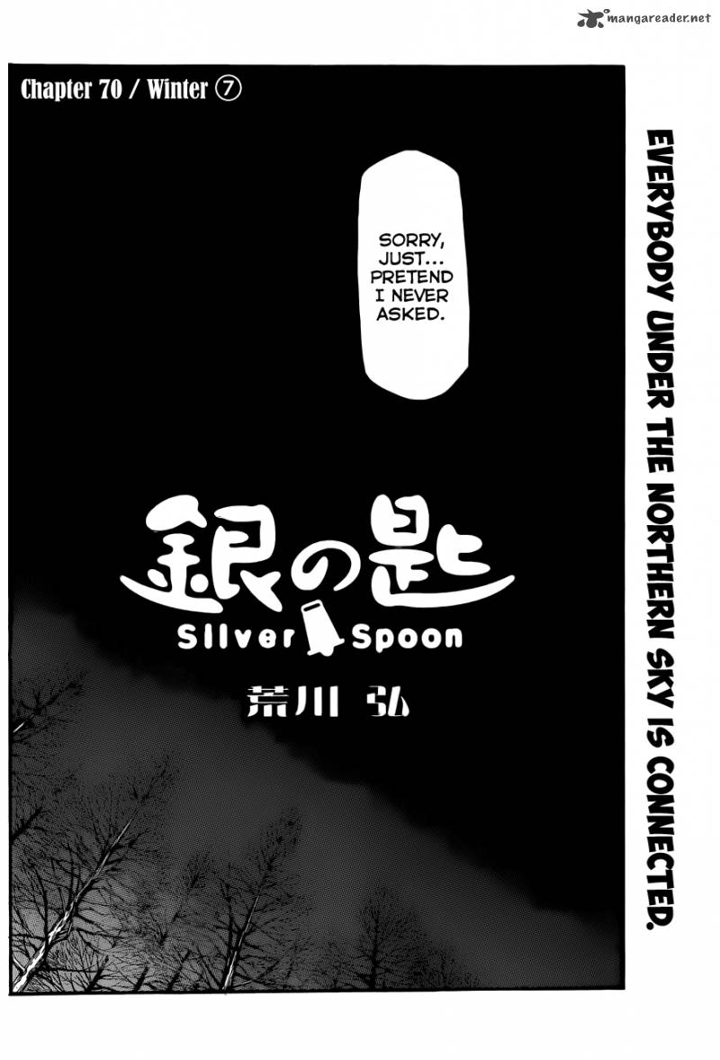 Silver Spoon 70 7