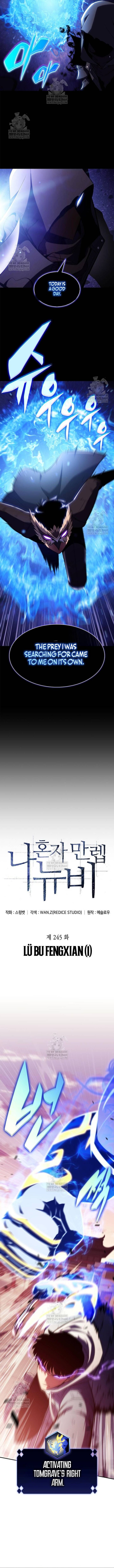 Solo Max Level Newbie 245 3