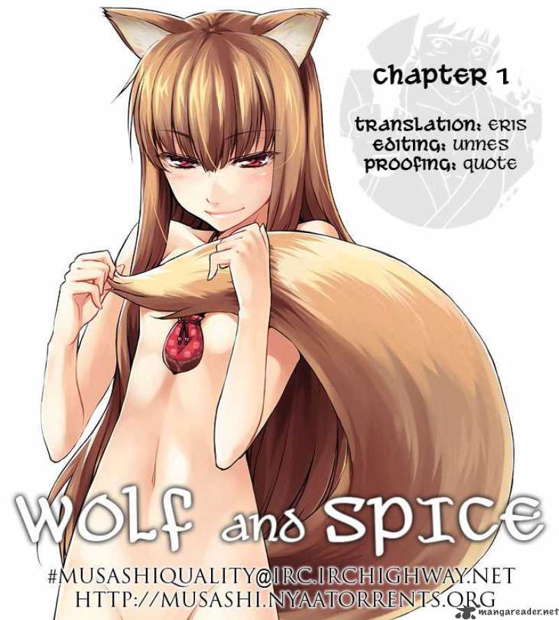 Spice And Wolf 1 29