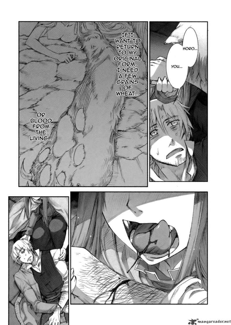 Spice And Wolf 15 3