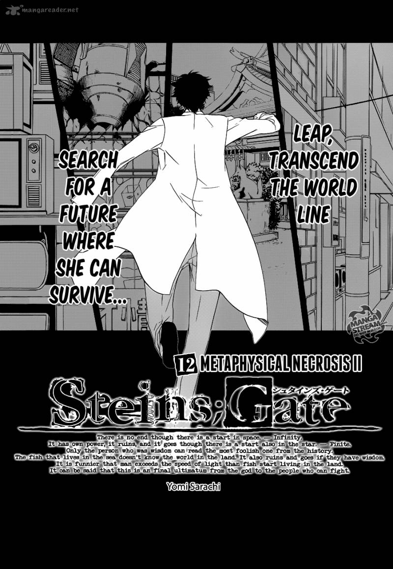 Steins Gate 12 1