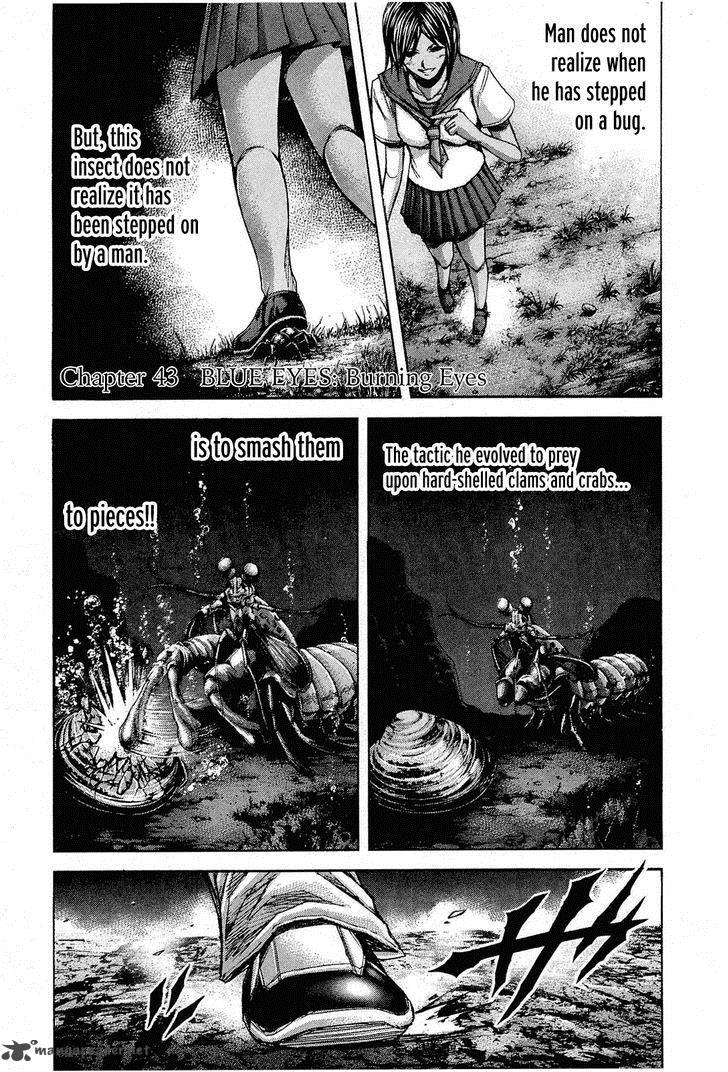 Terra Formars 43 1