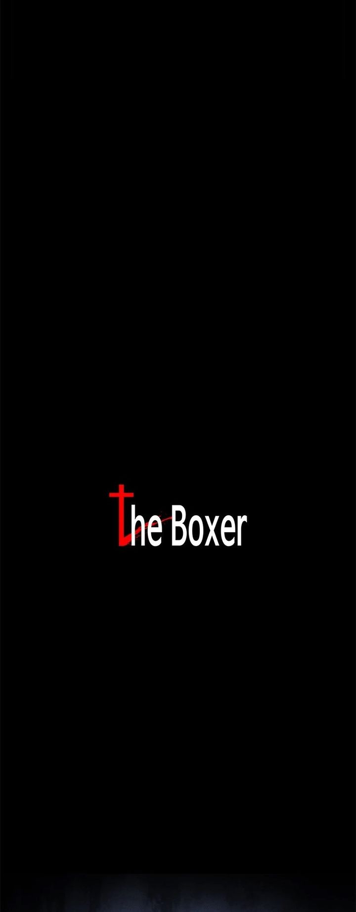 The Boxer 104 44