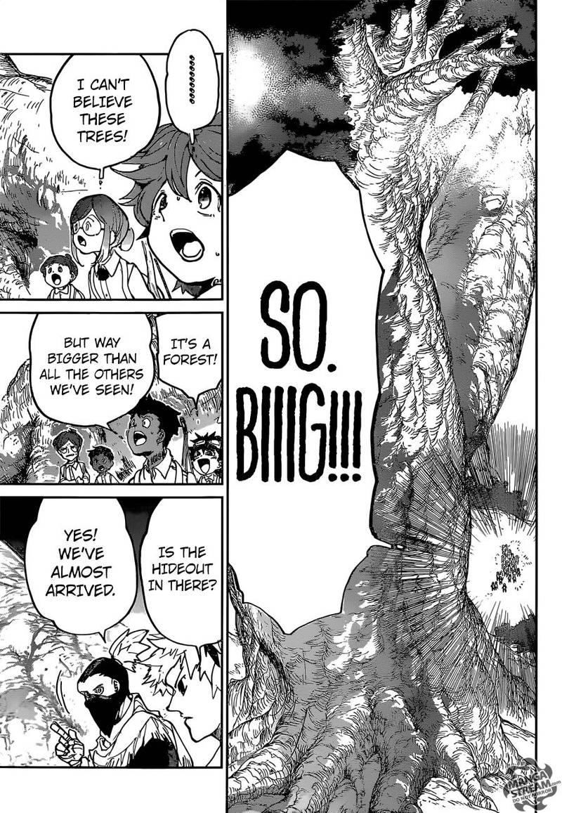 The Promised Neverland 118 6