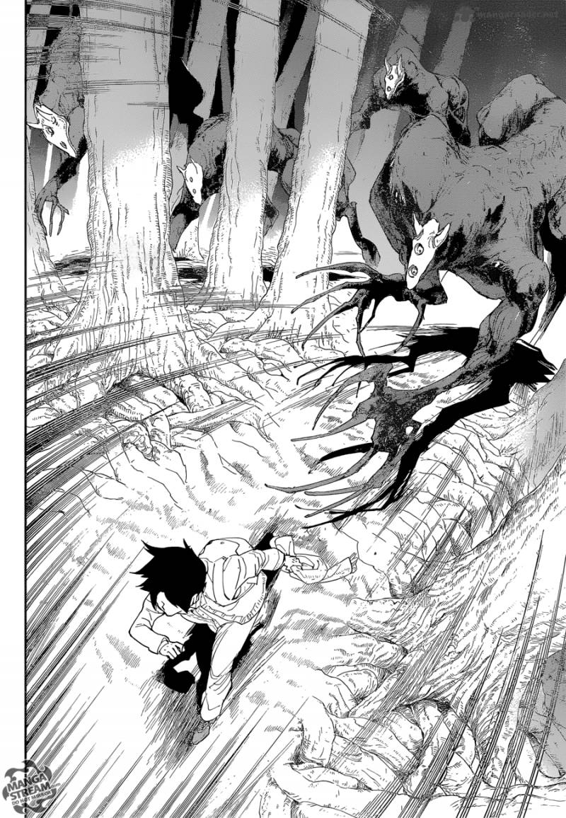 The Promised Neverland 43 17