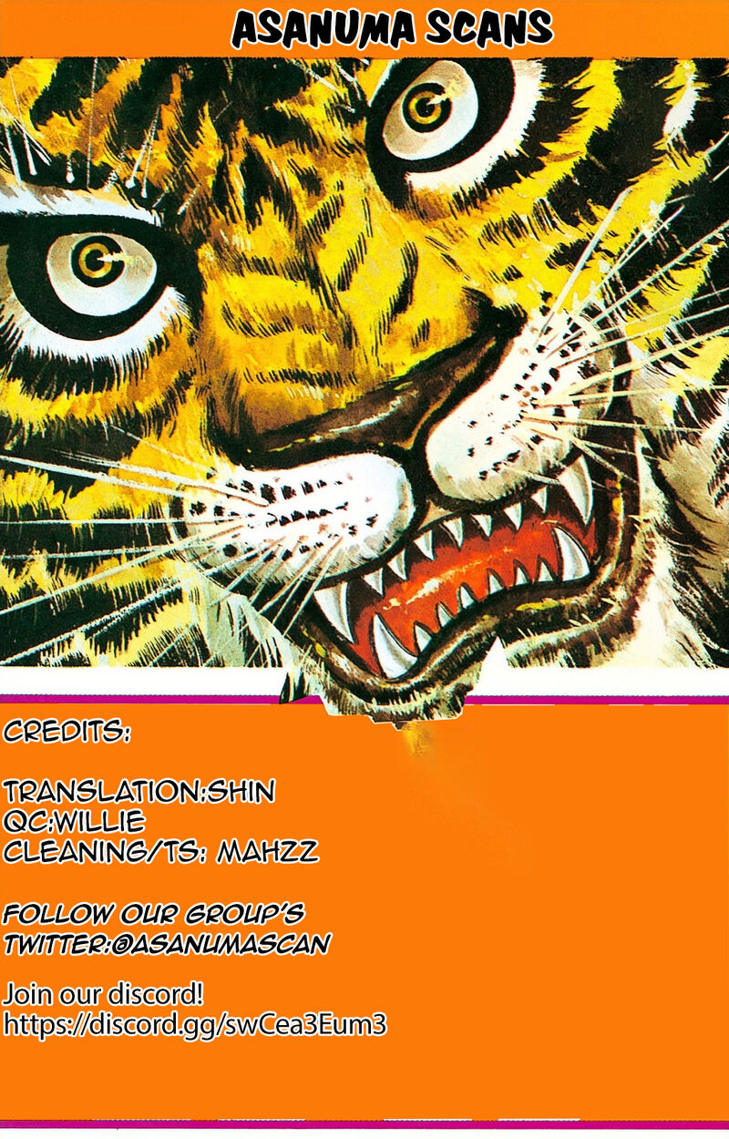 Tiger Mask 13 23
