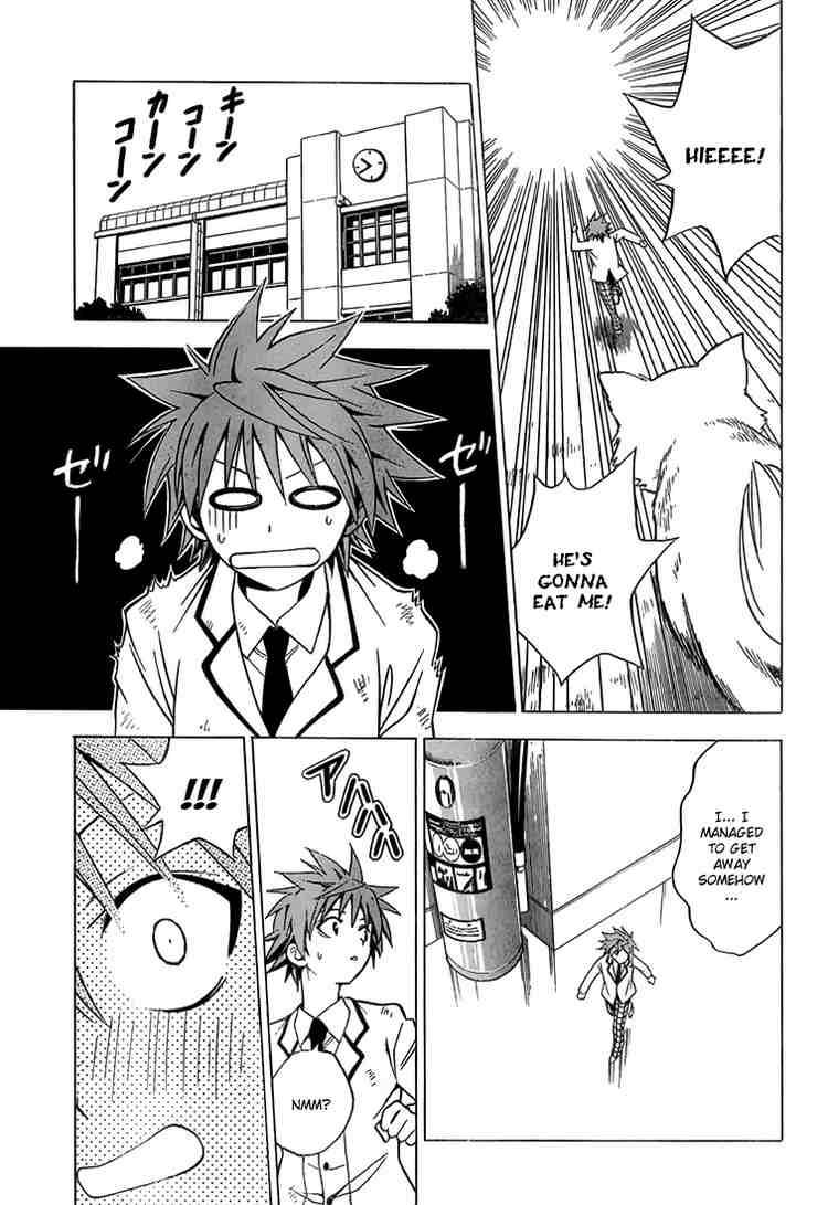 To Love Ru 29 11