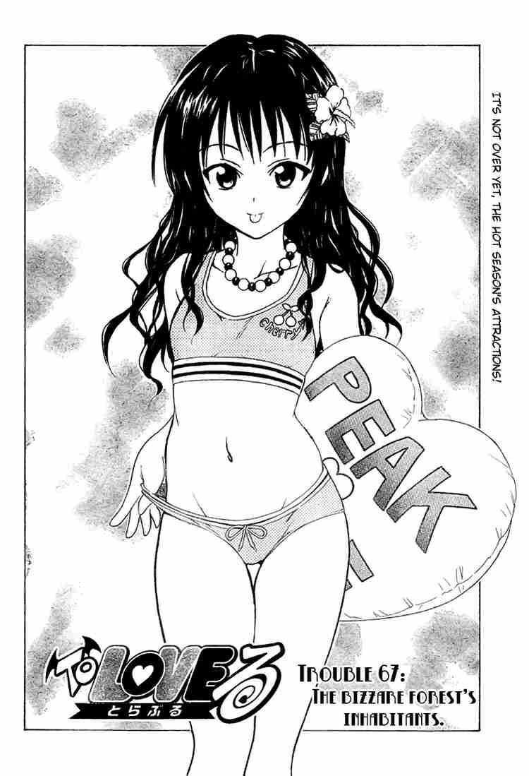 To Love Ru 67 3