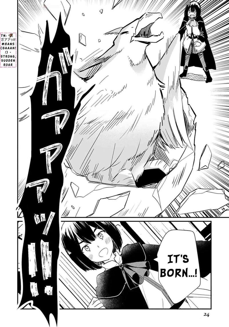 Tokage Hontou Wa Shinryuu Wo Shoukan Shita Seijuu Tsukai Ryuu No Senaka De Kaitaku Life 1 25