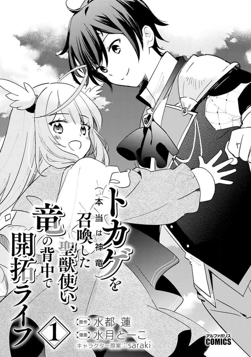 Tokage Hontou Wa Shinryuu Wo Shoukan Shita Seijuu Tsukai Ryuu No Senaka De Kaitaku Life 1 3