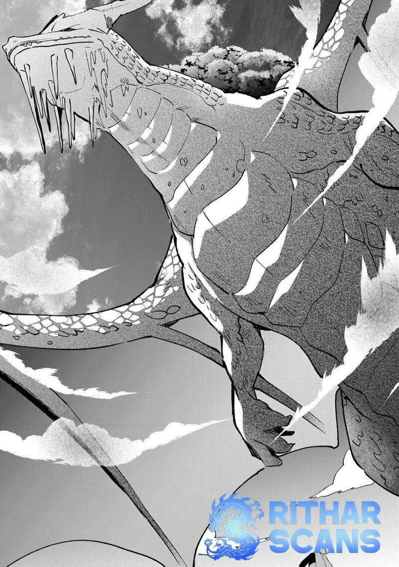 Tokage Hontou Wa Shinryuu Wo Shoukan Shita Seijuu Tsukai Ryuu No Senaka De Kaitaku Life 11 23