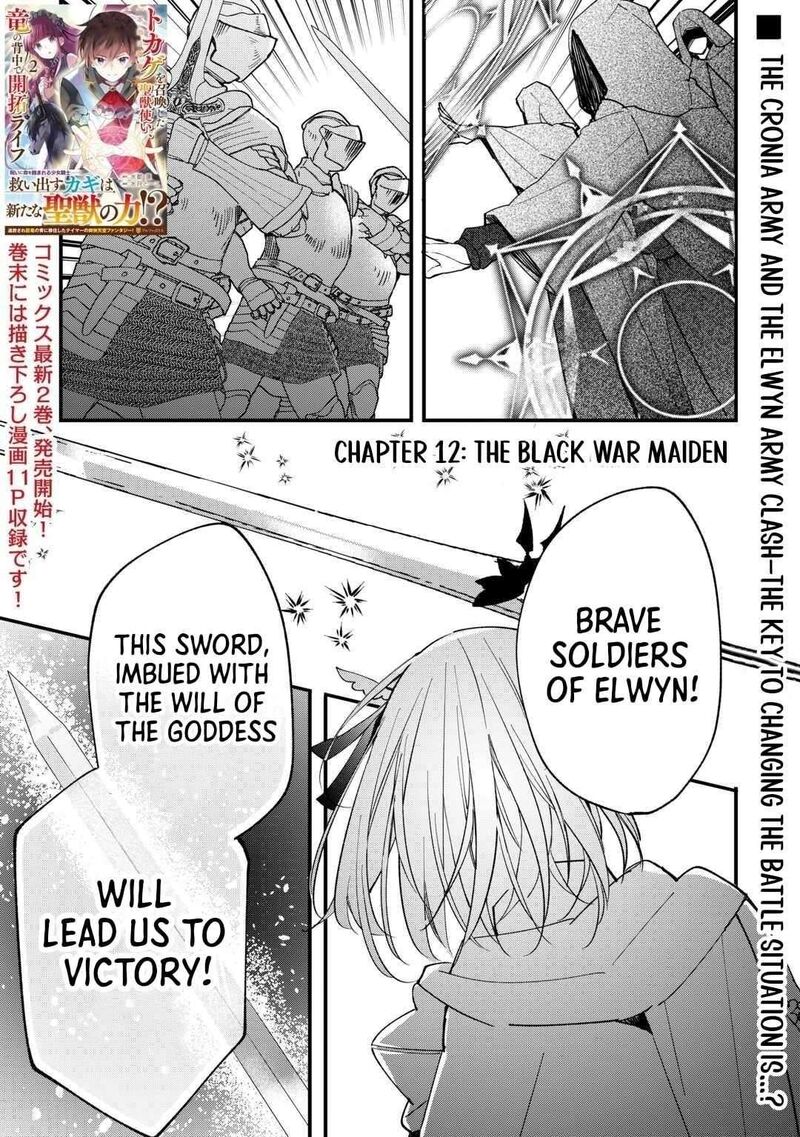 Tokage Hontou Wa Shinryuu Wo Shoukan Shita Seijuu Tsukai Ryuu No Senaka De Kaitaku Life 12 1