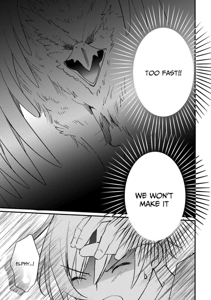 Tokage Hontou Wa Shinryuu Wo Shoukan Shita Seijuu Tsukai Ryuu No Senaka De Kaitaku Life 15 13