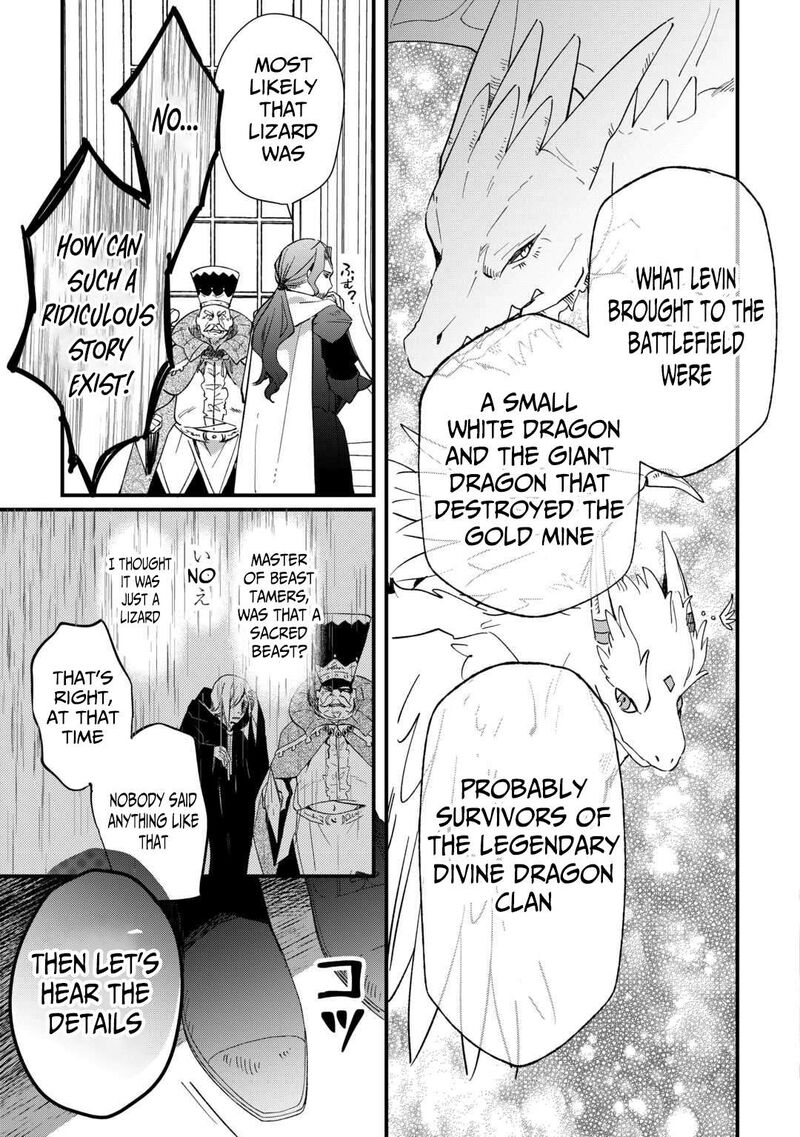 Tokage Hontou Wa Shinryuu Wo Shoukan Shita Seijuu Tsukai Ryuu No Senaka De Kaitaku Life 17 22