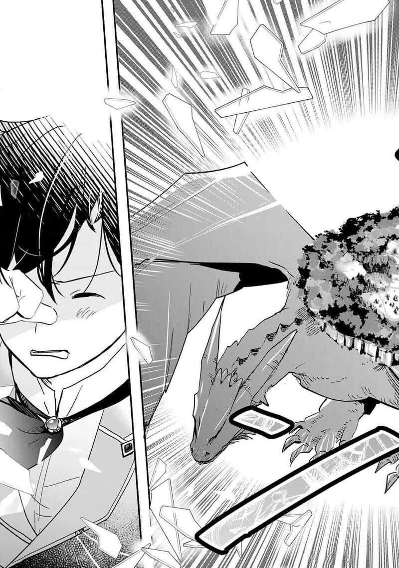 Tokage Hontou Wa Shinryuu Wo Shoukan Shita Seijuu Tsukai Ryuu No Senaka De Kaitaku Life 2 11