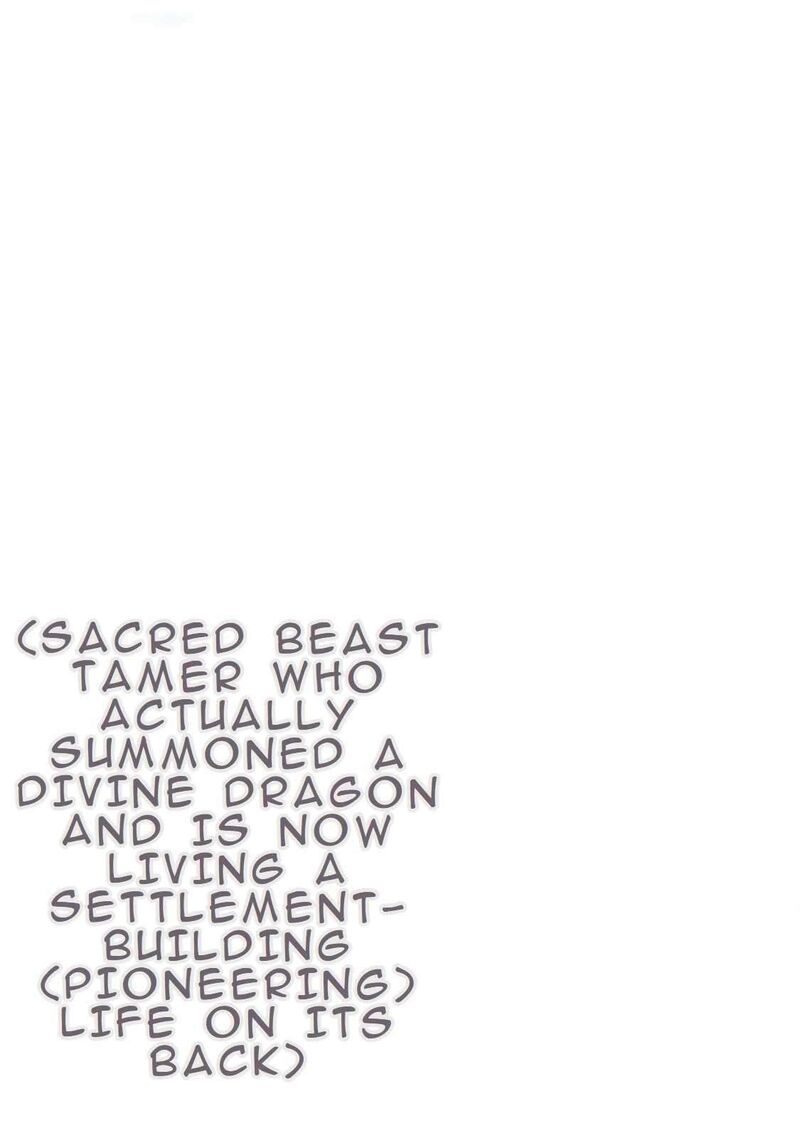 Tokage Hontou Wa Shinryuu Wo Shoukan Shita Seijuu Tsukai Ryuu No Senaka De Kaitaku Life 2 25