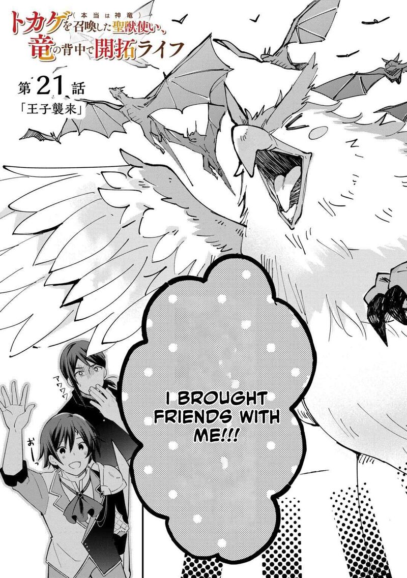 Tokage Hontou Wa Shinryuu Wo Shoukan Shita Seijuu Tsukai Ryuu No Senaka De Kaitaku Life 21 3