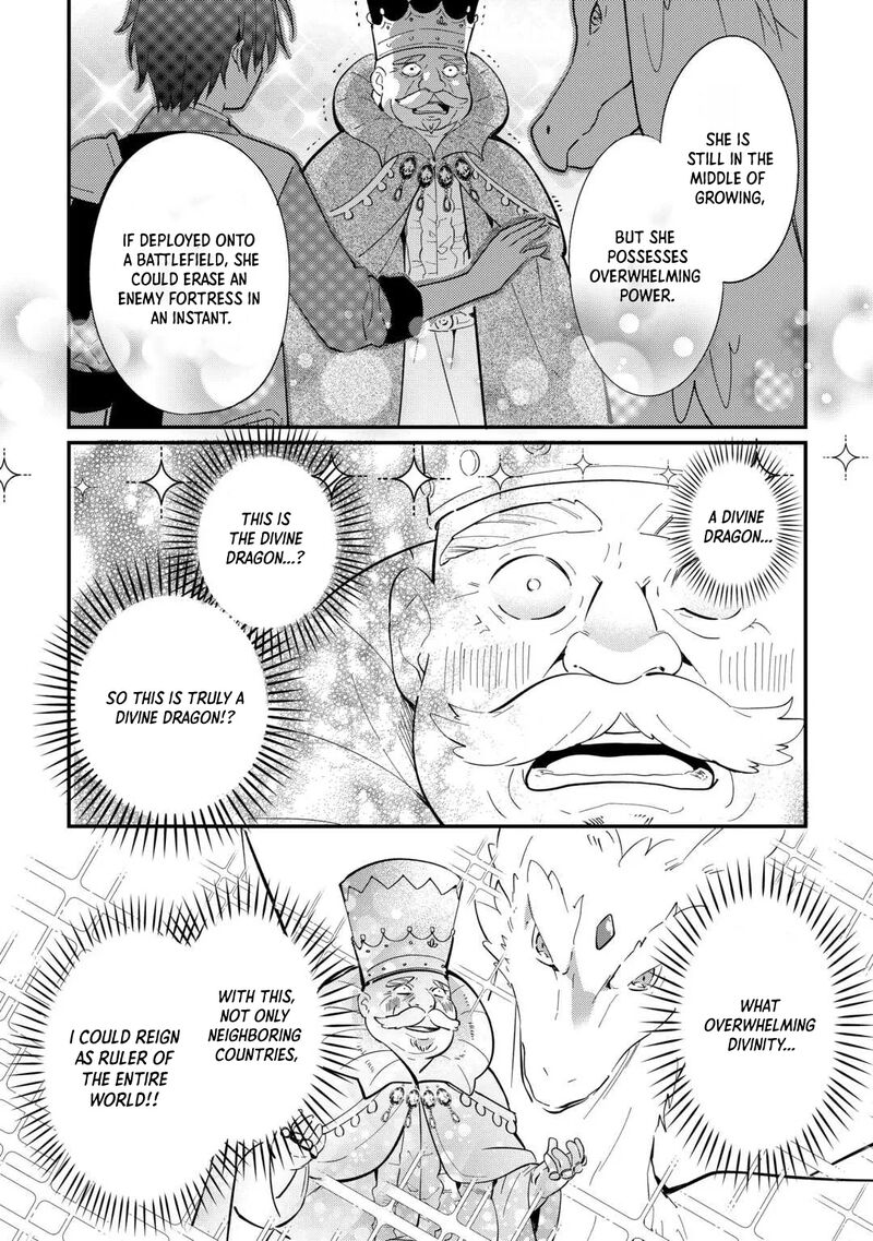 Tokage Hontou Wa Shinryuu Wo Shoukan Shita Seijuu Tsukai Ryuu No Senaka De Kaitaku Life 26 8