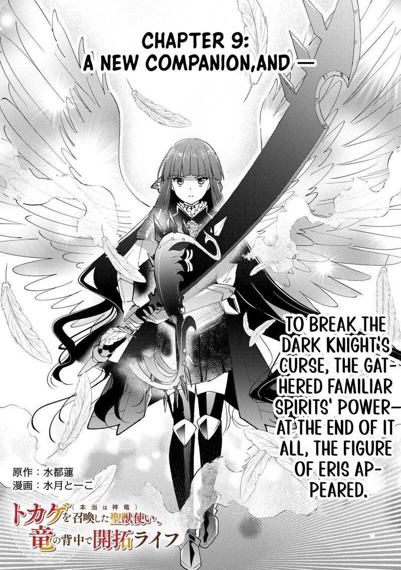 Tokage Hontou Wa Shinryuu Wo Shoukan Shita Seijuu Tsukai Ryuu No Senaka De Kaitaku Life 9 2