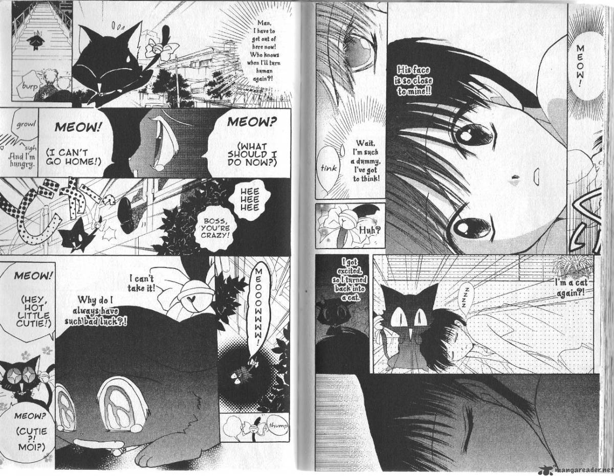 Tokyo Mew Mew 14 2