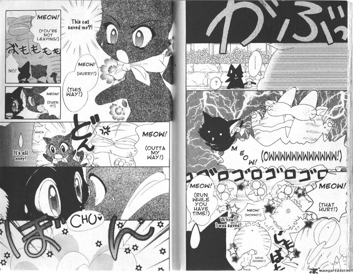 Tokyo Mew Mew 14 5