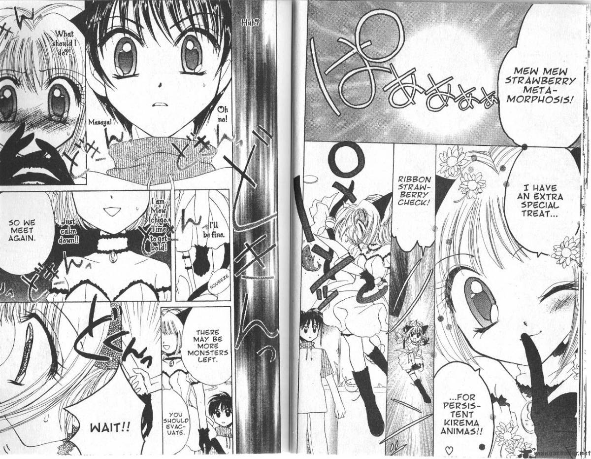 Tokyo Mew Mew 19 11