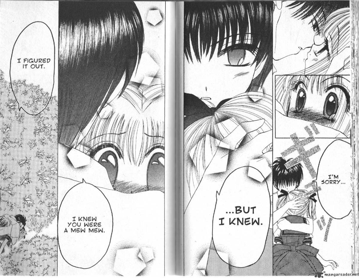 Tokyo Mew Mew 21 15