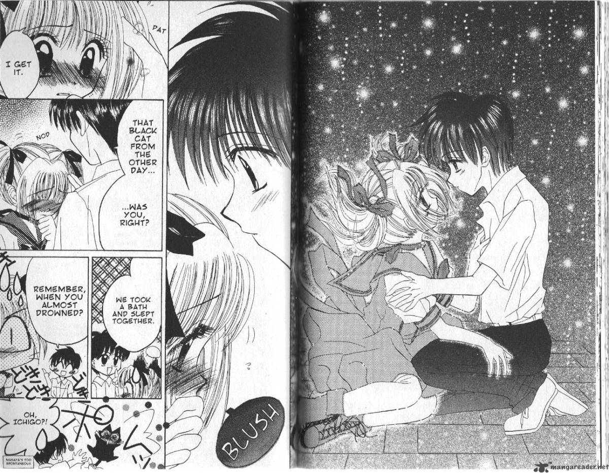 Tokyo Mew Mew 22 14