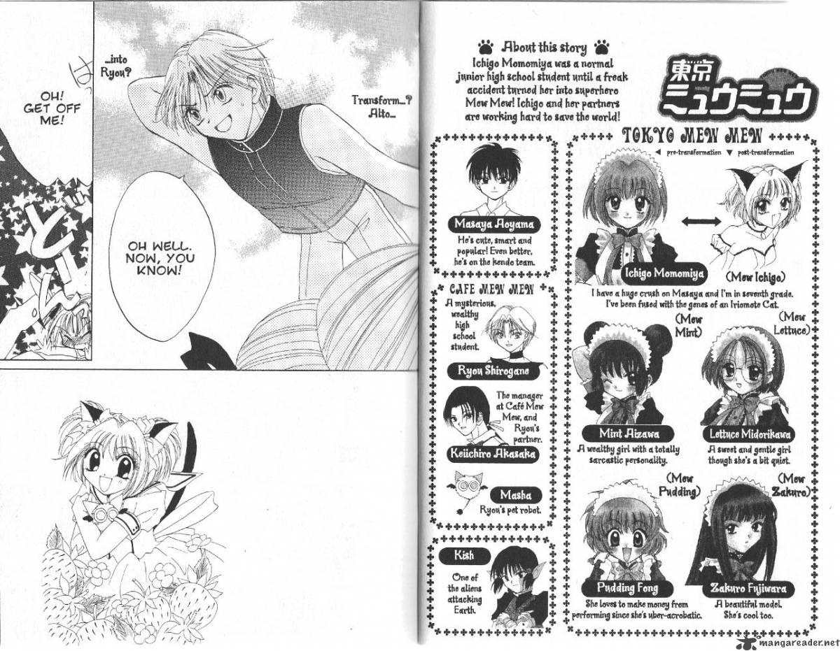 Tokyo Mew Mew 24 3