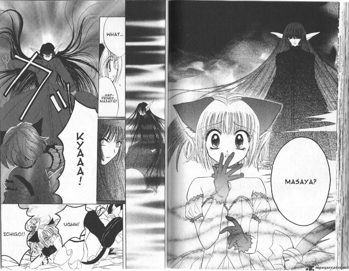 Tokyo Mew Mew 27 18