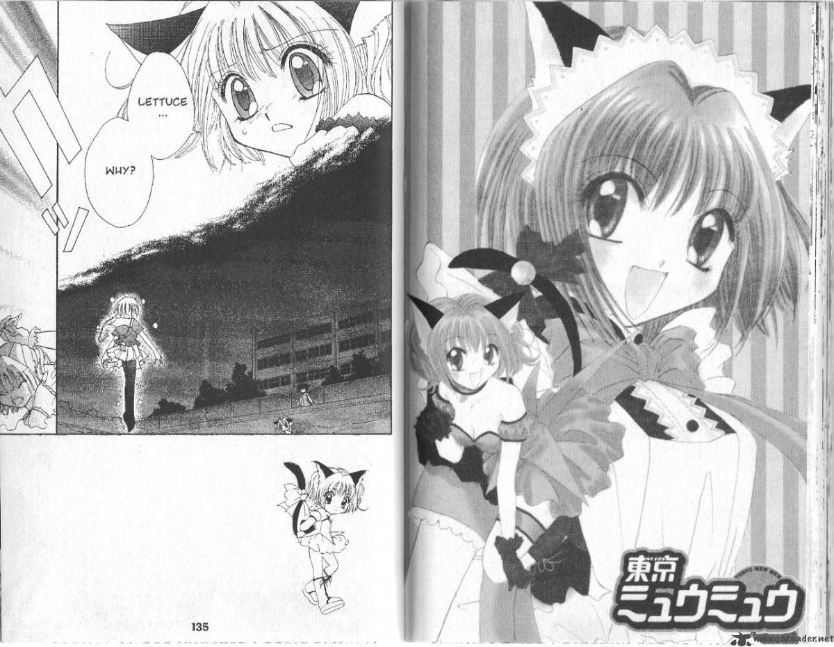 Tokyo Mew Mew 3 17