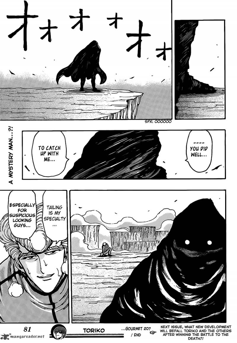 Toriko 207 17