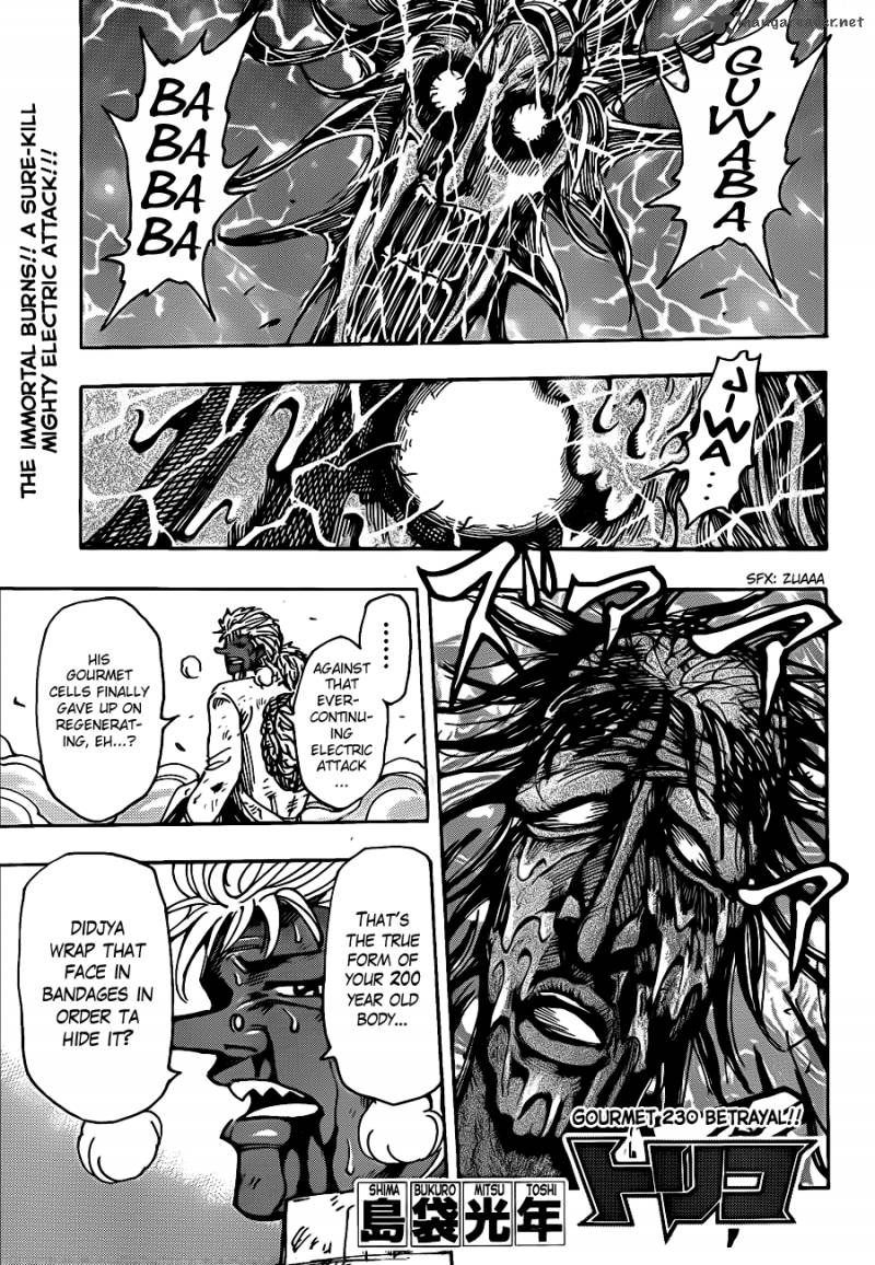 Toriko 230 1