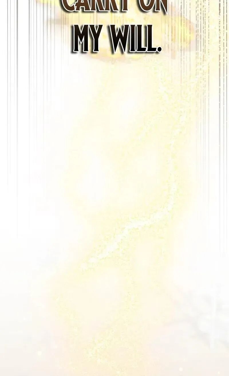 Transcension Academy 215 159