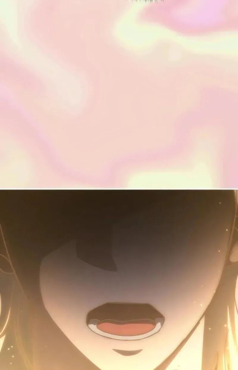 Transcension Academy 216 48