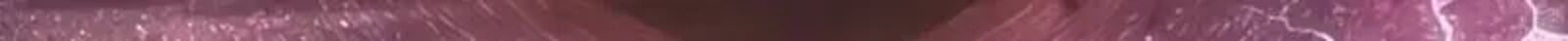 Transcension Academy 217 146